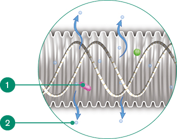 dri-therm image on white